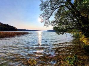 a view of a lake with the sun setting on the water at Poddasze in Zblewo +4 photos