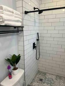 a bathroom with a shower with a toilet and towels at Two bedrooms with parking & washer/dryer in Schenectady