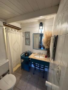 een badkamer met een wastafel, een spiegel en een toilet bij Casa divina temporaria en Tafí Del Valle ,pleno centro in Tafí del Valle