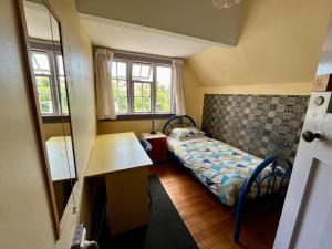 a small bedroom with a bed and a desk at Chalet Backpackers in Dunedin