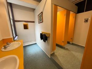 bagno con lavandino, servizi igienici e specchio di Chalet Backpackers a Dunedin