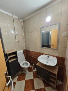 Koupelna v ubytování Apartma Pekrska vila