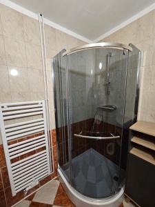 Koupelna v ubytování Apartma Pekrska vila