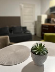 Posezení v ubytování Apartma Pekrska vila