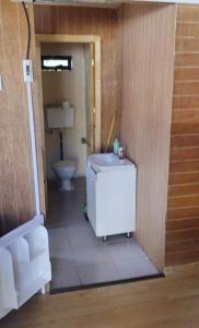 a bathroom with a toilet and a bath tub at Suite doble Coñaripe in Coñaripe