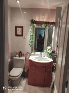 ein Badezimmer mit einem Waschbecken, einem WC und einem Spiegel in der Unterkunft Maravilloso apartamento in San Sebastián de los Reyes