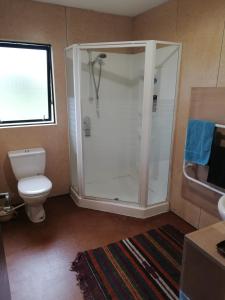 uma casa de banho com um chuveiro e um WC. em Cosy Country Cottage - Outdoor Pizza Oven - Rural Setting on 4 Acres em Raetihi