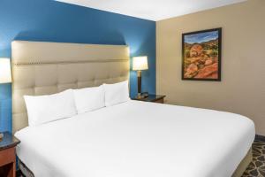 Postel nebo postele na pokoji v ubytování Baymont by Wyndham McAllen Pharr