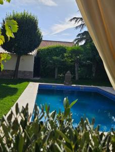 a blue swimming pool in a yard with trees at CASA BLANCA in Ciudad Real