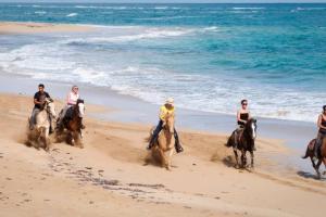 a group of people riding horses on the beach at Oceanfront Playa Turquesa with highspeed Wi-Fi, pools, free beach access in Punta Cana