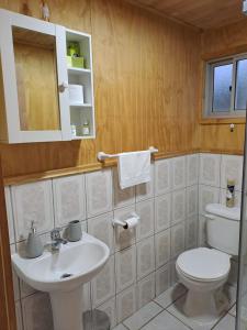 La salle de bains est pourvue de toilettes blanches et d'un lavabo. dans l'établissement Cabañas San Fernando, à Futrono