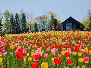 a field of colorful flowers in a park at Warm House3 in Sapporo