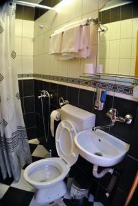 a bathroom with a toilet and a sink at Villa Ana Marija in Duračka Reka