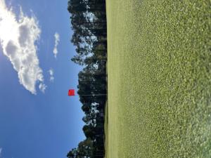 an aerial view of a field with a red flag at Brunswick Plantation Studio Home 1301L in Calabash +24 photos