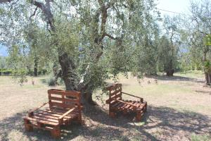 A garden outside Villa La Vigna