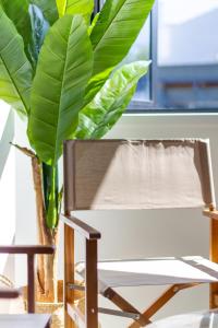 a chair and a plant sitting next to a window at Central Sunny Perch 2 bed 1 bath in Christchurch