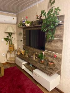 ein Wohnzimmer mit einem TV mit Pflanzen darauf in der Unterkunft Casa a 500m do Natal Luz de Gramado in Gramado