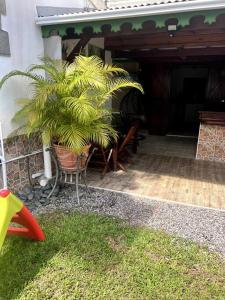 a porch with a potted plant on a patio at Bungalow le goyavier in Goyave