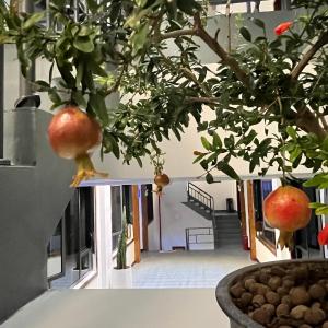 Foto sihtkohas Zhangjiajie asuva majutusasutuse Zhangjiajie Borui Hotel - Tianmen Mountain 张家界天门山泊睿庭院酒店 galeriist