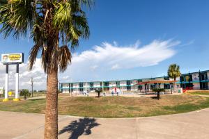 a palm tree in front of a building at CRYSTAL PALACE RESORT in Bolivar Peninsula