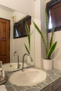 - un comptoir de salle de bains avec un lavabo et une plante dans l'établissement Betel Palm Village - Casa Retreat, à Pai