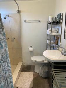 een badkamer met een douche, een toilet en een wastafel bij Zona Río, 2 Bedrooms 2Bath, Gated! in Agua Caliente