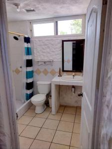 Koupelna v ubytování Chalet Rincón Tortuga 4 habitaciones para 18 a 20 personas Máximo