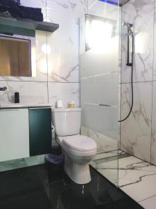 a white bathroom with a toilet and a shower at Demetris apartment in Meneou