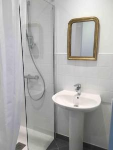 La salle de bains est pourvue d'un lavabo et d'une douche avec un miroir. dans l'établissement Gîte rénové 6 pers, grand jardin, très calme, à Saint-Michel-en-lʼHerm