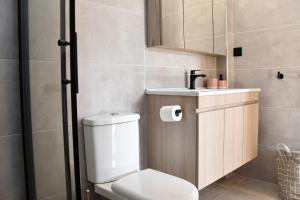 a bathroom with a toilet and a sink and a mirror at Polles Εlies Cozy Αpartment in Egina