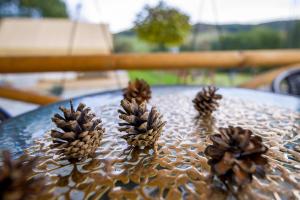 Vonkajšia záhrada v ubytovaní Glamping Pod Gwiazdami