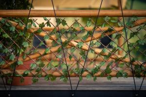 Fotografia z galérie ubytovania Glamping Pod Gwiazdami v destinácii Pietrusza Wola