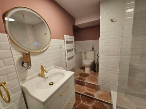 a bathroom with a sink and a mirror and a toilet at Charmant studio proche du temple in Vienne