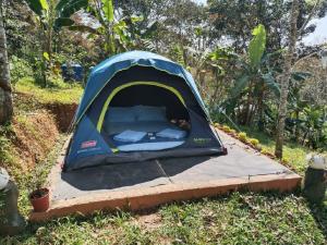 Galeriebild der Unterkunft Agronest Farm & Resort By Teal Luxury Stay in Wayanad