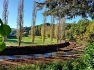 un percorso alberato con alberi e ruscello di Il Ciottone a Nocera Umbra