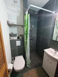 uma casa de banho com um WC, um chuveiro e um lavatório. em Le Cosy - Queen-size, full équipé, wifi, parking em Namur