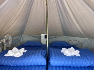 2 Betten in einem Zelt mit Handtüchern darauf in der Unterkunft ปลายเขื่อนแคมป์ปิ้ง in Sirindhorn