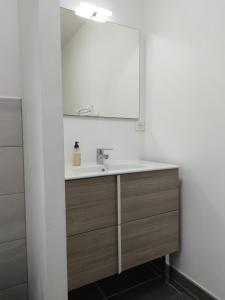 ein Bad mit einem Waschbecken und einem Spiegel in der Unterkunft Studio du Roc des Garrigues in Langlade