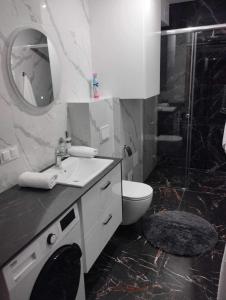 ein Bad mit einem Waschbecken, einem WC und einer Dusche in der Unterkunft Apartament Zielony 12/2 in Starogard Gdański