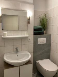 a bathroom with a sink and a toilet at Ferienwohnung Alpenpanorama Bad Reichenhall in Bad Reichenhall +11 photos