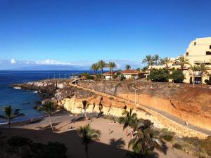a view of a beach with palm trees and the ocean at Holiday apartment Paraiso in Playa Paraiso