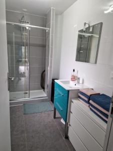 un bagno con lavandino e doccia in vetro di Appartement rez de jardin a Saint-Martin-dʼUriage