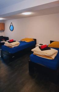 2 Betten in einem Zimmer mit blauer Bettwäsche und roten Kissen in der Unterkunft Fe Wo Auf der Alb 