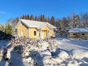 a yellow house in the snow with trees at Talo Merikarvian keskustassa lähellä Merta! in Merikarvia