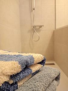 uma pilha de toalhas sentadas em cima de um balcão de casa de banho em La Ferme de Plénoise Chambres d'hôtes 