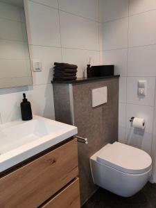 łazienka z białą umywalką i toaletą w obiekcie Vakantiewoningen Eyveld w mieście Beesel