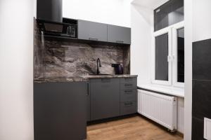 Kuchyň nebo kuchyňský kout v ubytování Dream Aparts - Piotrkowska 33