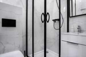 W łazience znajduje się prysznic, toaleta i umywalka. w obiekcie Dream Aparts - Piotrkowska 33 w Łodzi