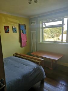 Manston的住宿－Cedar Top，一间卧室配有一张床、一张书桌和一个窗户。