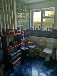 Manston的住宿－Cedar Top，一间带卫生间的浴室,铺有蓝色地板。